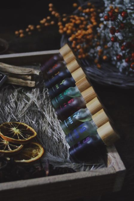 The 9 Frequencies of the Human Body: A Guide to Chakra Wellness for the Modern Woman