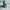Breathe – Body Serum for lungs
